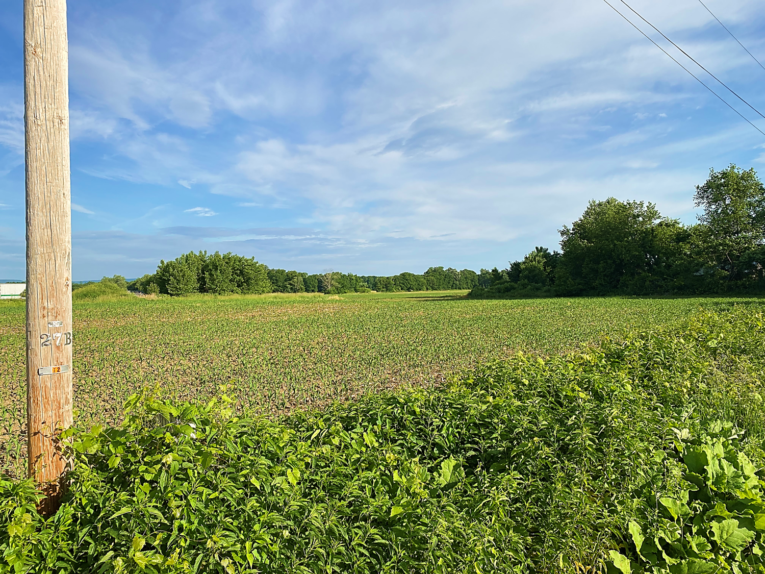 Clapper Farm num1 6-7-2022