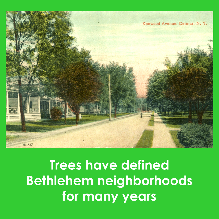 Past Initiatives And Plans Supporting Trees